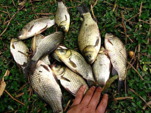 刮风|钓鱼和刮风有什么联系能回答这三个问题,说明你钓鱼有些年头了