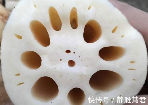 糯藕|买莲藕，糯藕脆藕如何区分？教你一招，轻松辨别，千万别再买错了