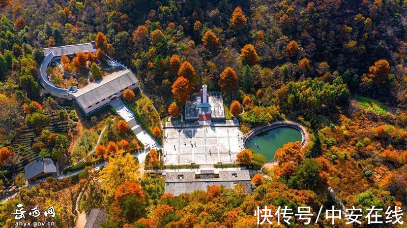 大别山|“岳西红”，大别山迎来绝美秋景