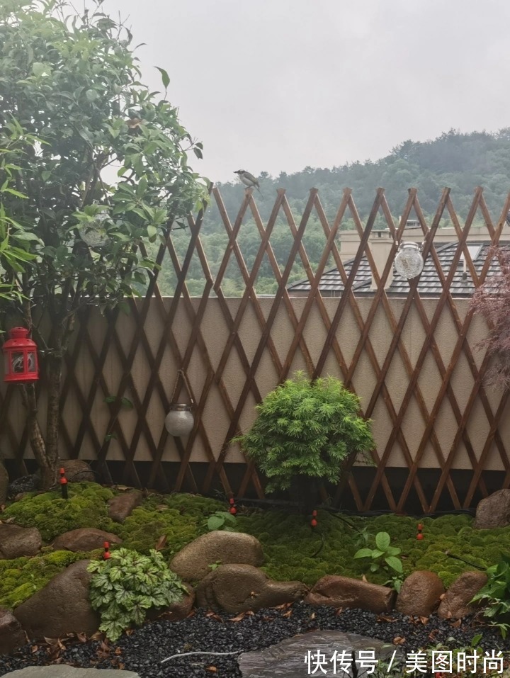 露台|买了小洋房顶层,把16㎡露台改造成“日式小花园”,结果令人惊喜