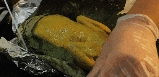  【蒸烤箱美味】影视剧里馋到不行的“叫花鸡”，做法居然这么简单？！