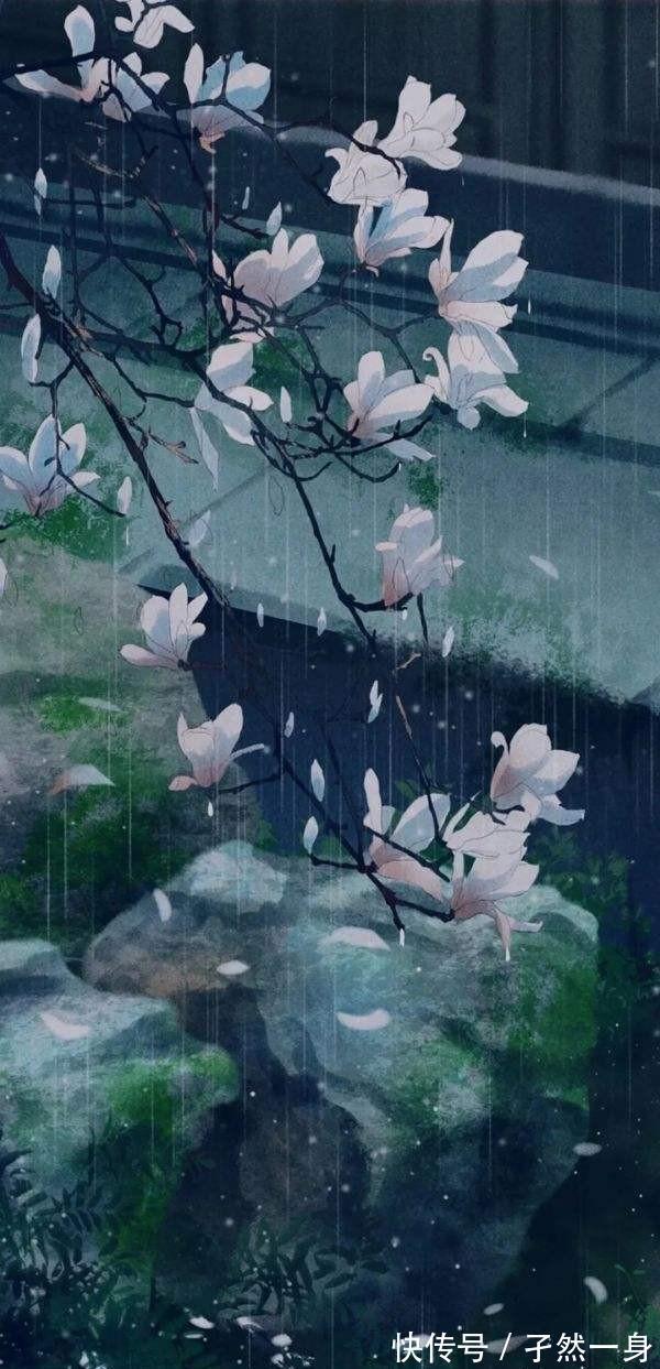 双生劫#聊斋故事:双生劫