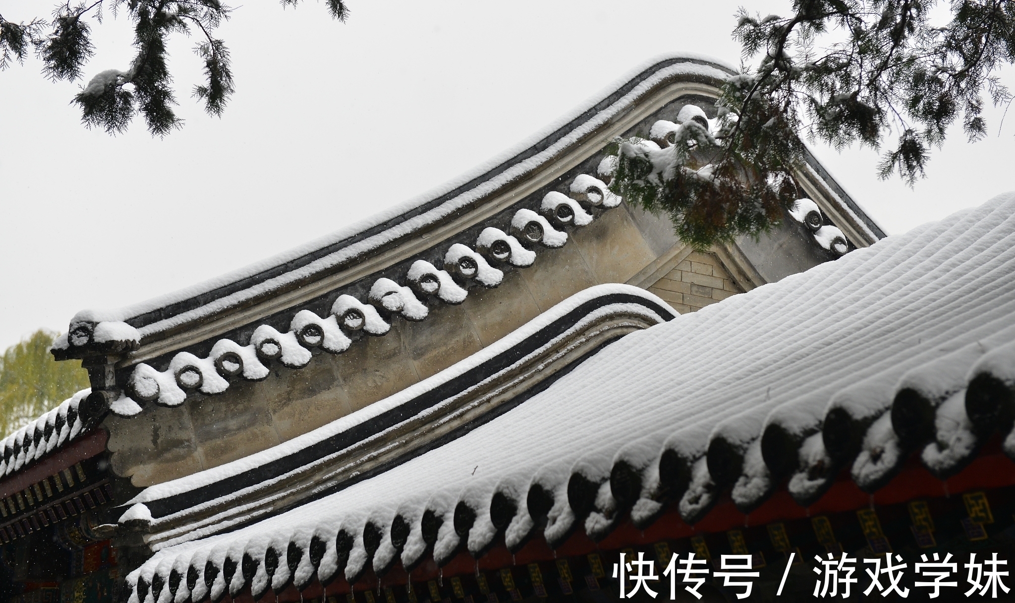 踏雪@大雪节气古诗六首赏读：此间大雪节，花放小桃枝