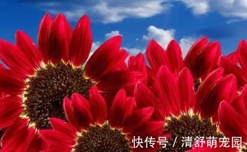 眼袋|早推腹、午敲带脉、晚泡脚,搞定浮肿眼袋黄褐斑,根除妇科病!