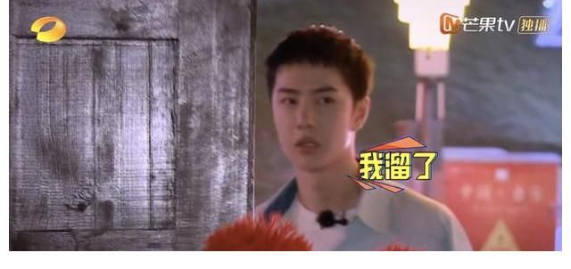 机关|210726《天天向上》0801预告公开 频频触碰到追捕机关的小猪啵让人想欺负