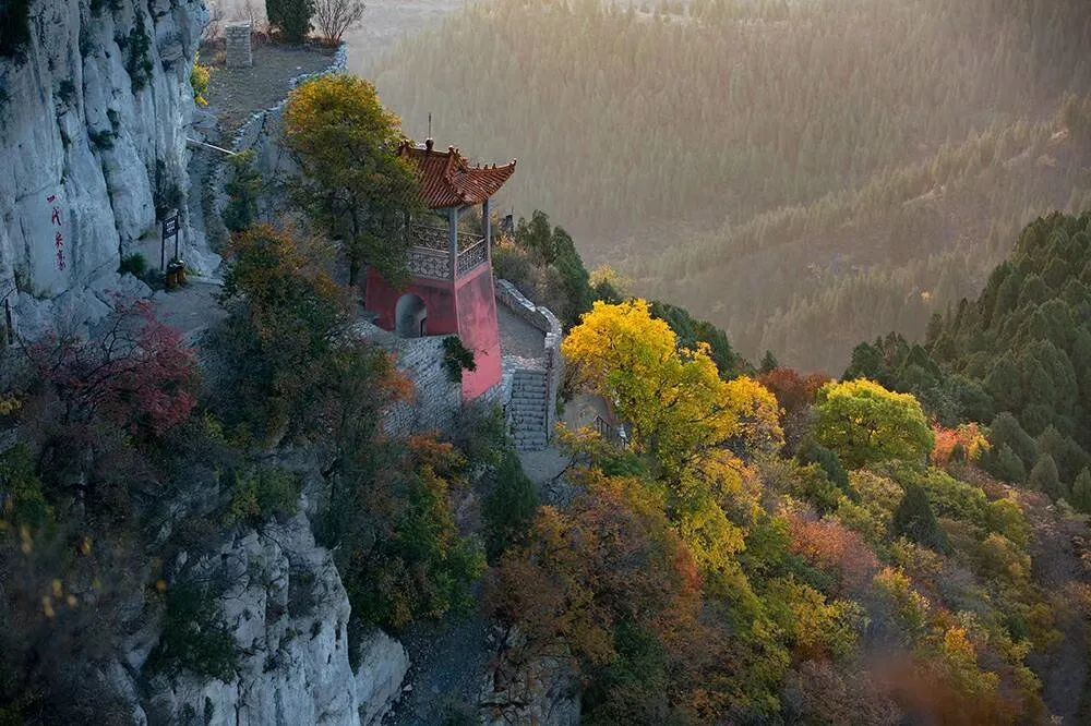 红叶|浓缩了秋日精华，独属于淄博的绚丽如画的山景！看一眼，惊艳一年