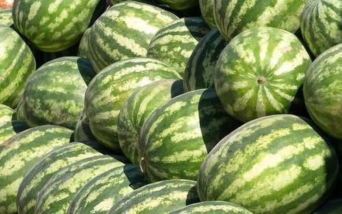 吃不完的西瓜不要放冰箱，瓜农教你此种做法，放2天也不会坏