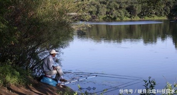 初夏钓鲫鱼，用对饵料找对钓位，爆护可以有