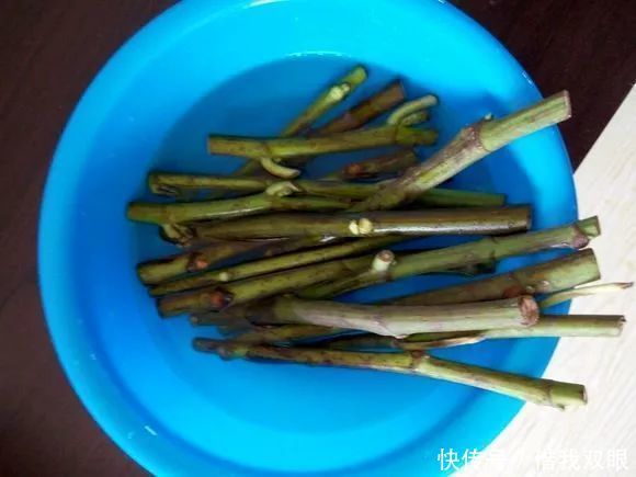 想吃无花果路边剪个枝,插盆里就活