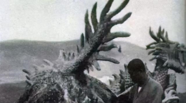 日本|日本瑞龙寺现存真龙标本,到底是真是假