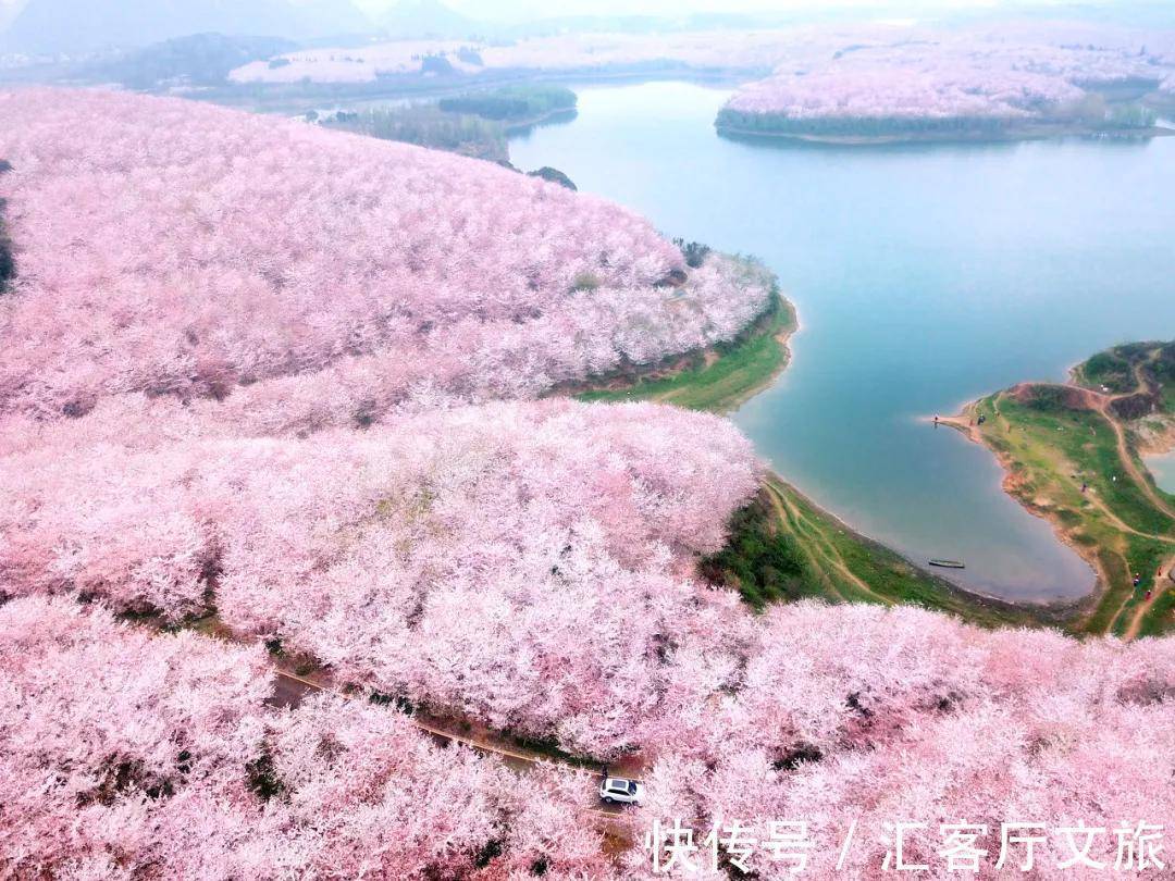 小火车|再过30天,世界又要被惊艳了!因为,中国的春天到了