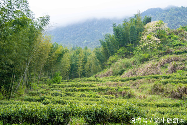 不负人间四月天，与明月山来一次春日有约