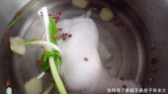 舌尖上的世界:棒鸡丝