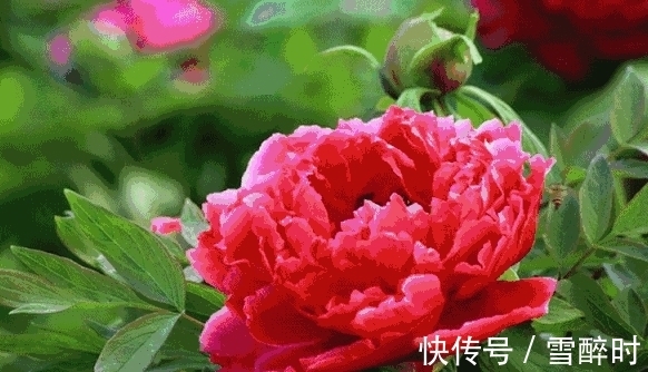 洞察力|9月上旬(9月7号)开始,摆脱厄运,财运满满,事业卓尔不凡