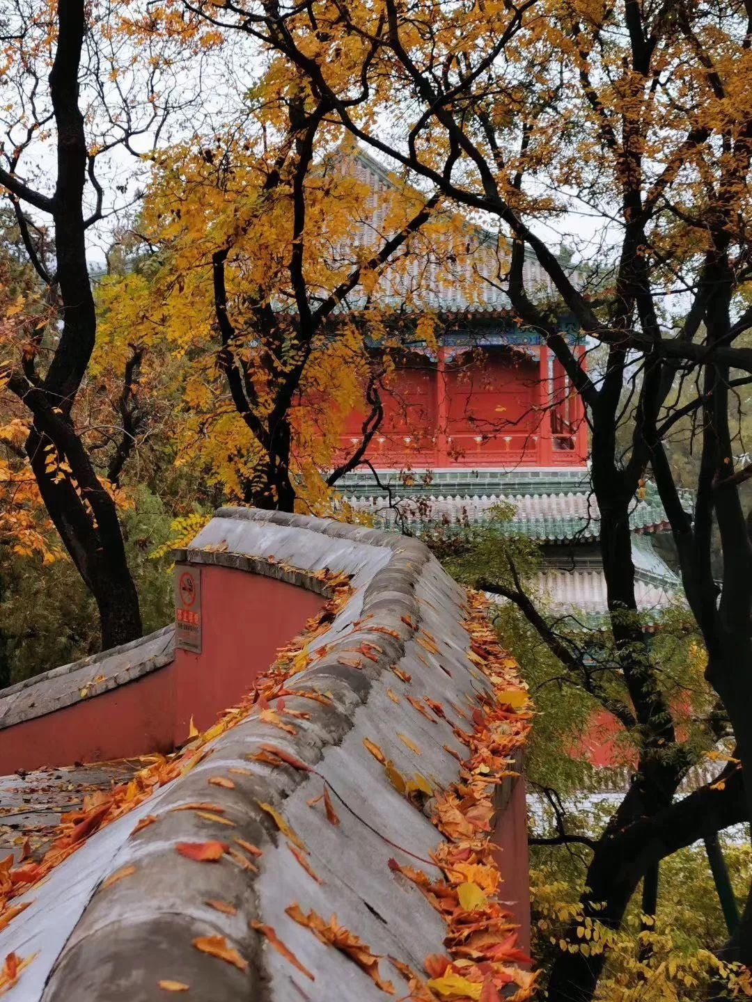  门头沟|古寺有灵知秋日，芳华无限在戒台——到门头沟最美的寺庙打卡