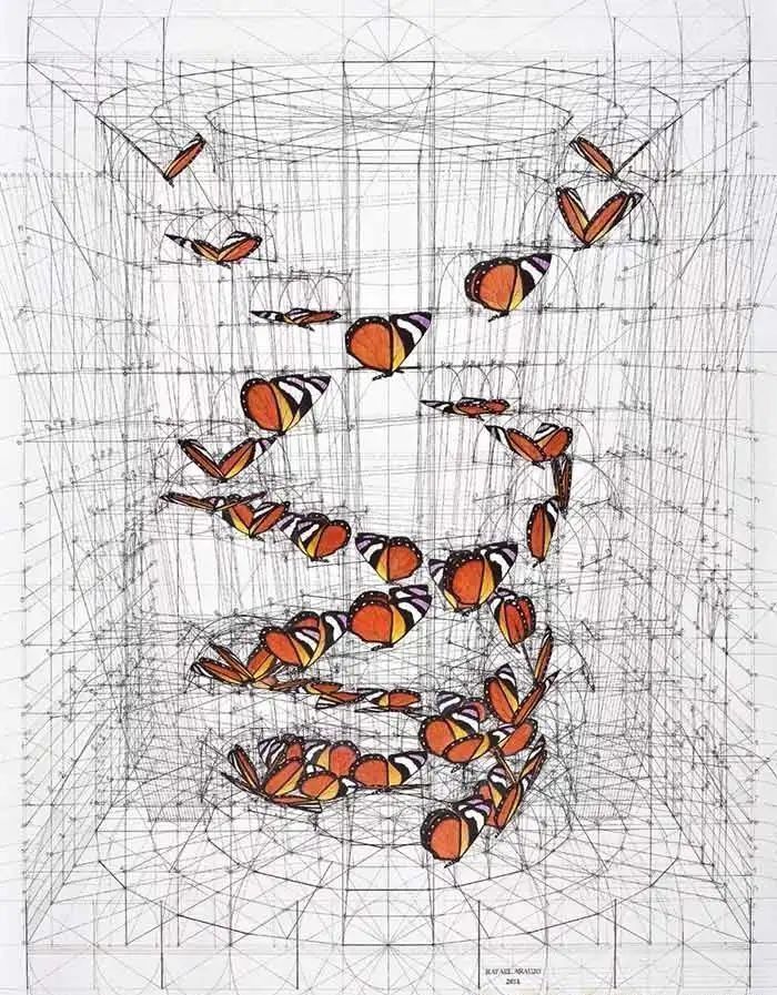 黄金比例!理工男花40年时间,用圆规画1000张画,黄金比例的拥护者