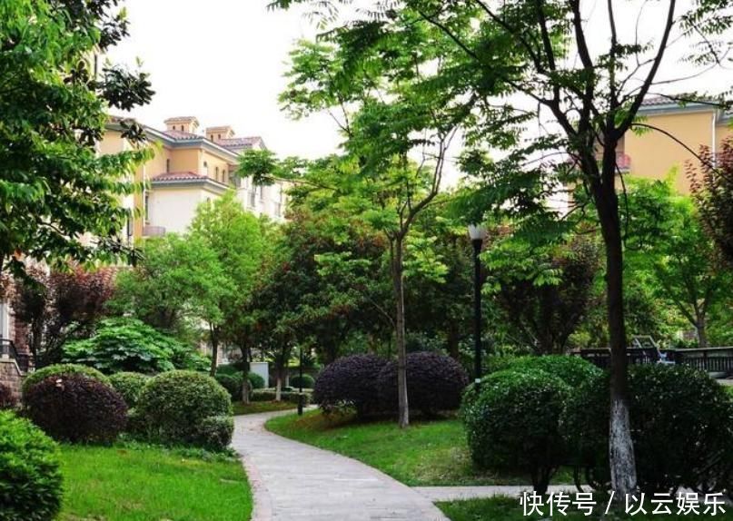 房子|买得起房也要看对房买房时一定要记住这个成语，不然会后悔