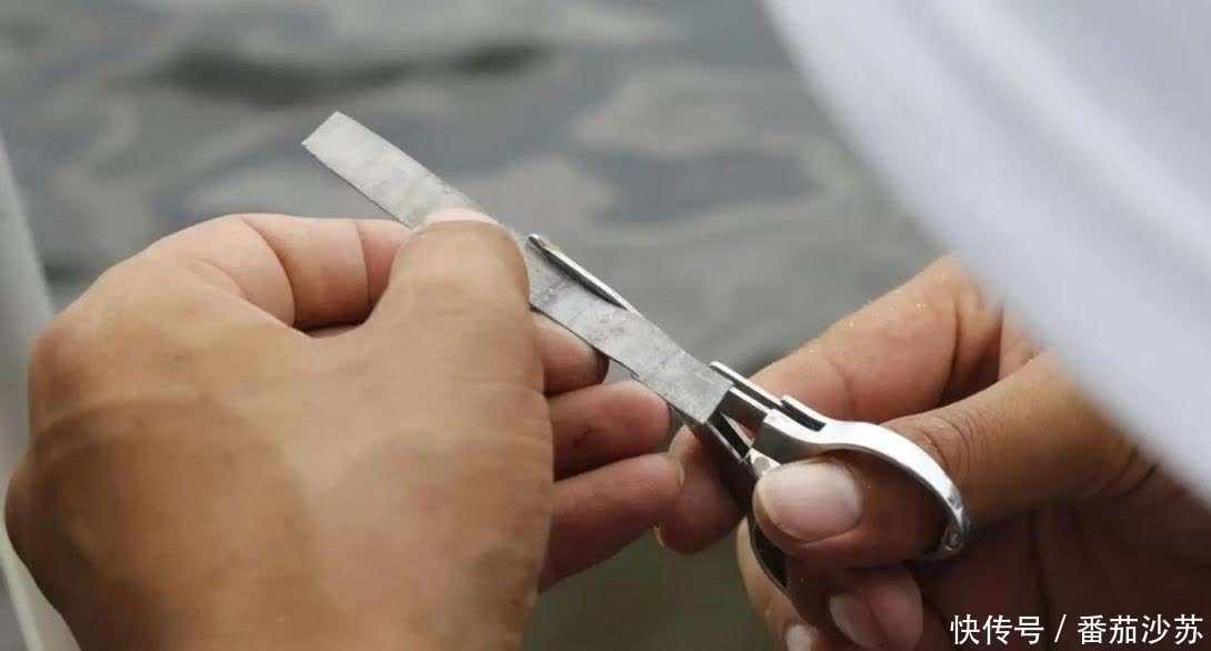 浮漂|夏季钓鱼,如何做到“避小钓大”?做对下面3个小事就能巧妙解决