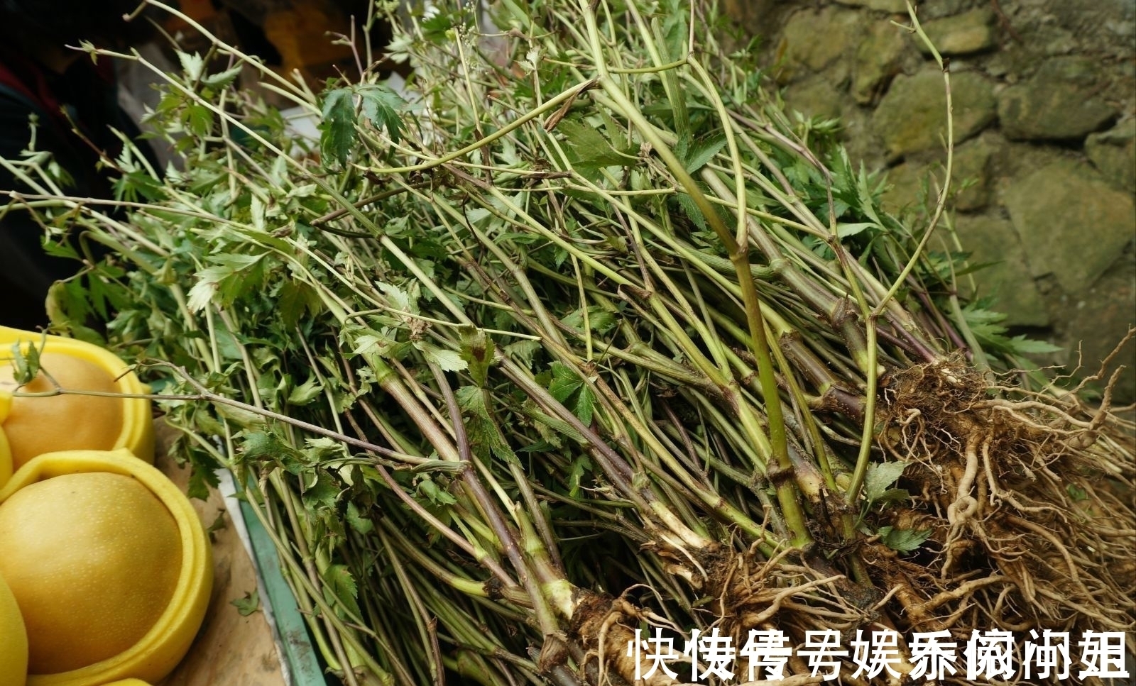 知府&4首妙趣横生的古诗词,展现古代的百态人生,仿佛梦回千年