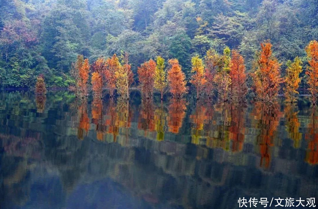 一帘|铜锣坝：烟雨里的一帘幽梦