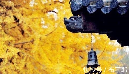 戒子文@《了凡四训》,掌控自己的命运,就靠这四点,受益一生