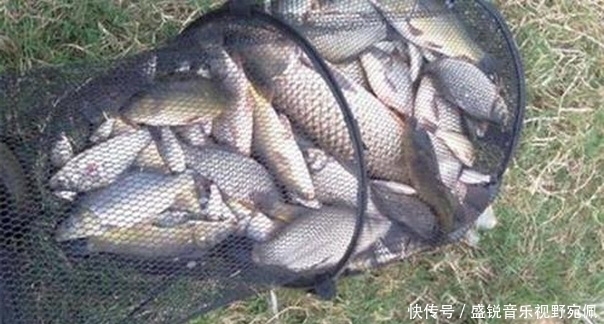 谷雨过后雨水增多,下雨野钓天垂钓策略