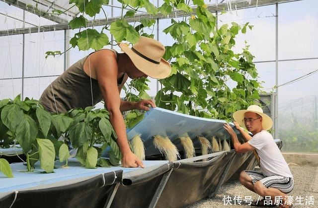 养花顺口溜,6个“无”字理解透彻,养花不用愁!