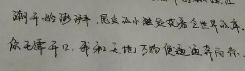 高中生|高中生写字每笔都宁折不弯,自创栅栏字体,老师:容嬷嬷附体了
