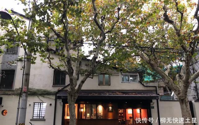 上海|打卡|不用飞日本,在这些店里也可以喝到正宗的日式咖啡啊!