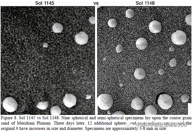 非生物 火星上存在真菌吗？