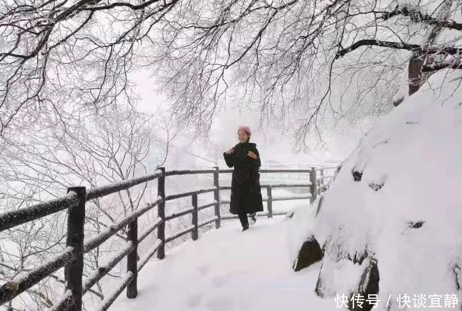 中年|难得一见的春日雪景,美到心醉!