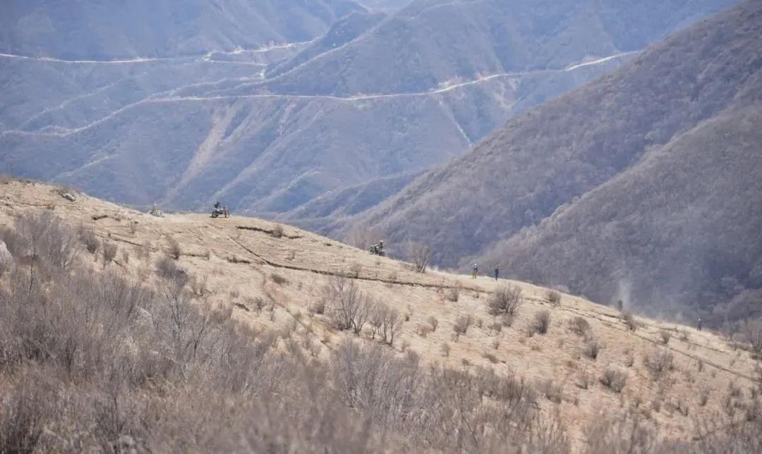 昌平花事：长峪城山花烂漫青山翠