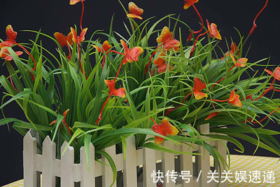 “死都不能种”的这几种花,再富也会变穷鬼,谁都救不了你!