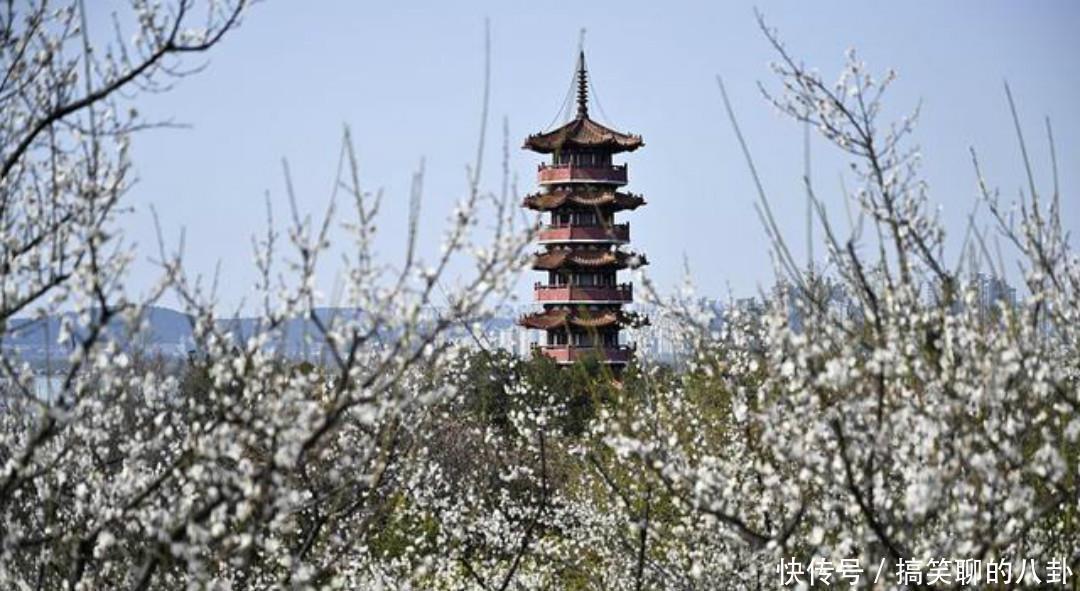 万里春&一首清新脱俗的咏梅诗,不仅写出了新意,同时每一句还另有深意!