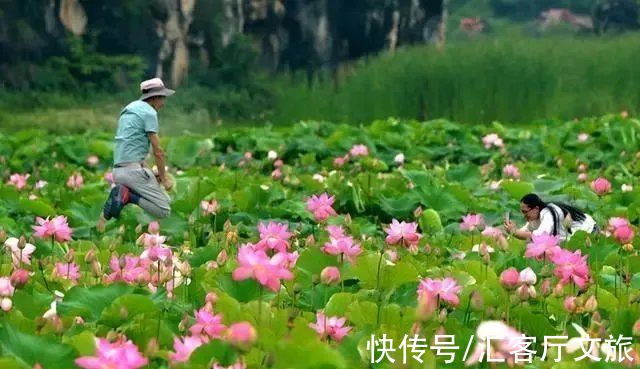 普者黑|青丘缘起，荷海芳华，除了荷花，你还能在普者黑看到什么？