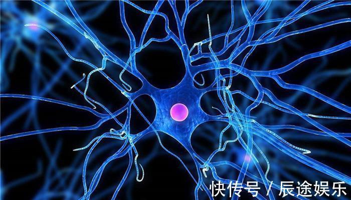 爱好|“寿命决定期”就在60岁!老人若有4大“爱好”,长寿更青睐你