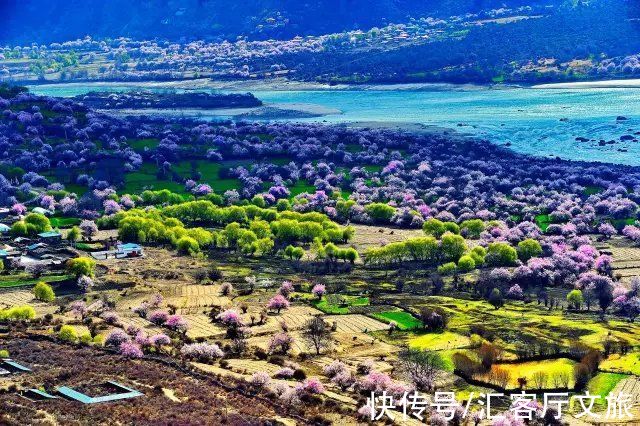 桃花|2022年的春天，期待一场林芝桃花与蓝冰的邂逅