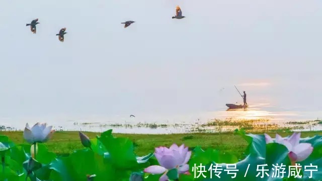 | 那些错过的美景，补上！|咸宁之美 | 赵青松