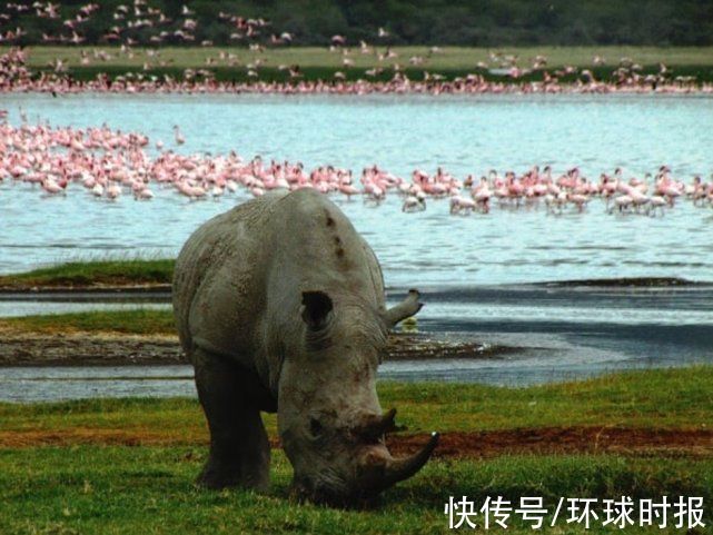 斯诺登|最“靓”的国家公园，世界的颜值担当