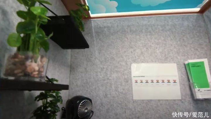 亚马逊|被全网群嘲的「打工人休息亭」，到底错在哪了？