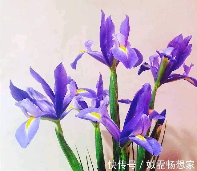 善念$人在做,天在看!做人,别缺德,要心存善念!