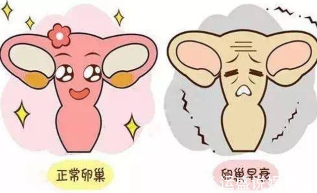 雌性激素|45岁后的女人不要太节俭,常吃三种“零食”,或帮助延缓衰老