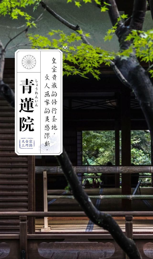  缪斯|青莲院：皇室贵族的修行圣地，文人画家的灵感缪斯