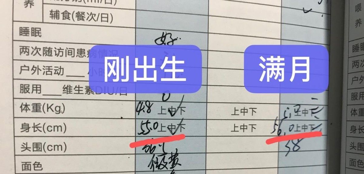 一日三餐|儿科医生：想要孩子长高个，坚持“三原则”很关键，家长别马虎