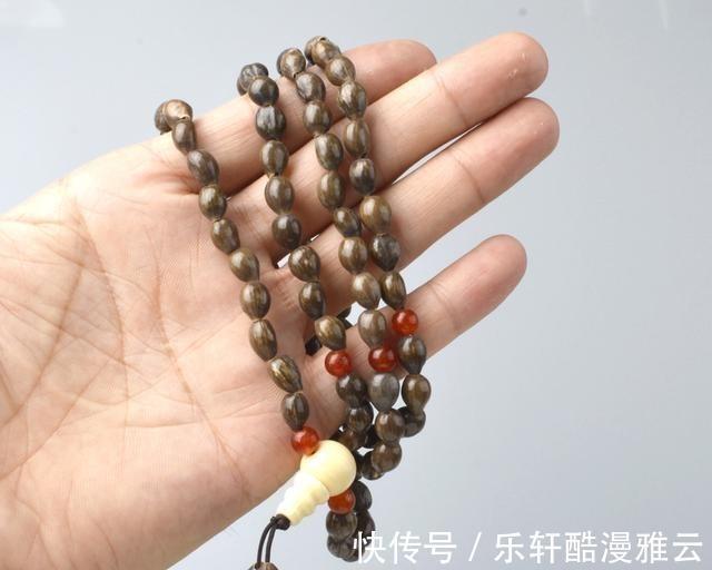 大米|农村随处可见的“草珠子”，原来是一种“米”，比普通大米更昂贵