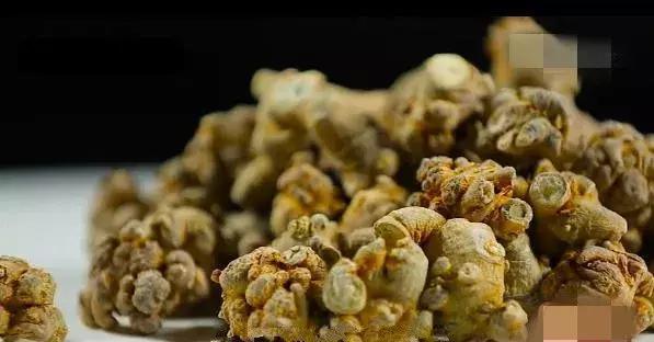 桡动脉|大米粥配它,喝走一身血瘀,血管干干净净