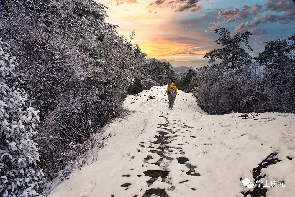 胡惠菲|庆元绝美雪景大片，上新了！