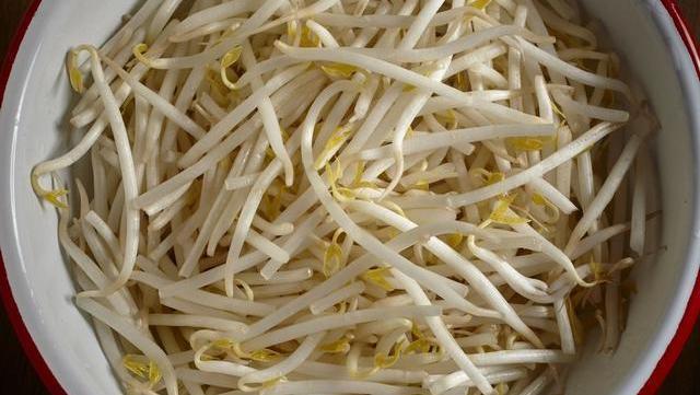 夏天|炎热的夏天,绿豆3天就能发芽,一碗绿豆发一盆,再也不用买了