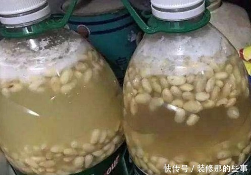 夏日养花,用得上这2样水肥,春天要早做准备才能跟得上需求