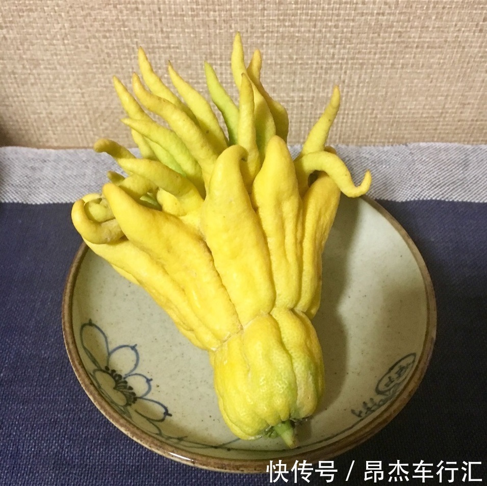 养花要学老中医,选5种花养家里能“养人”,都有多种功效